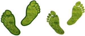 Carbon footprints in travel